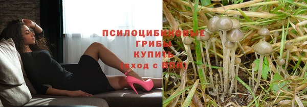 гидропоника Армянск