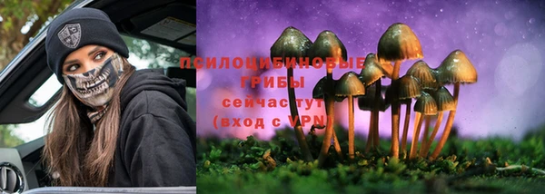 СК Аркадак